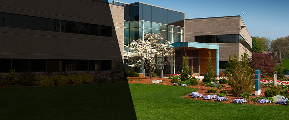 Rancho Cucamonga Landscapers