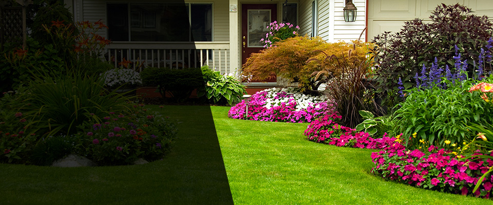 Rancho Cucamonga Landscapers