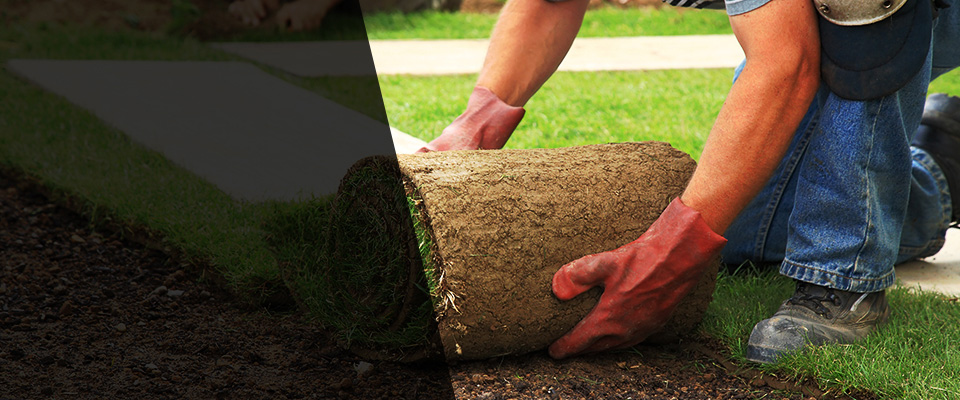 Rancho Cucamonga Landscapers